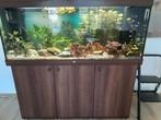 Aquarium juwel  rio  450 liter  met 2 filters  verwarming  e, Dieren en Toebehoren, Vissen | Aquaria en Toebehoren, Ophalen, Zo goed als nieuw