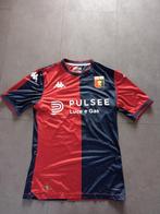 Gesigneerd 2024-2025 shirt van Genoa CFC in de maat XL, Ophalen of Verzenden, Nieuw, Buitenlandse clubs, Shirt