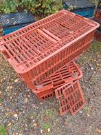 Kunststof kratten kippenkist konijnenkrat, Ophalen of Verzenden