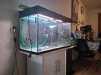Juwel 125l aquarium inclusief eheim filter en aquariumkast, Dieren en Toebehoren, Ophalen of Verzenden, Zo goed als nieuw, Leeg aquarium