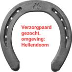 Verzorgpaard gezocht, Ophalen of Verzenden, Nieuw