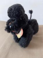 Steiff Snobby, poedel, 5310, Ophalen of Verzenden