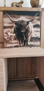 Wandfoto, Ophalen, Zo goed als nieuw, Schilderij, 75 tot 100 cm