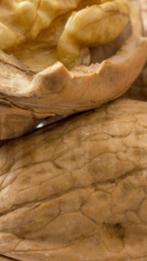 Walnoten in de dop, Ophalen