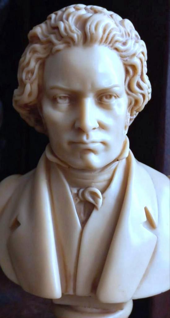 Vintage mooie grote Buste van Beethoven, Antiek en Kunst, Kunst | Beelden en Houtsnijwerken, Ophalen of Verzenden