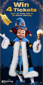 Efteling 1 ticket 17 januari, Alle leeftijden, Ophalen of Verzenden, Zo goed als nieuw