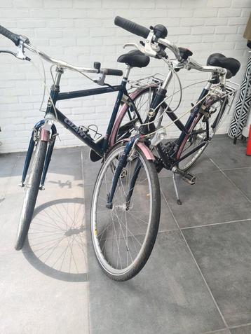 Giant  Dames en Heren Fiets beschikbaar voor biedingen