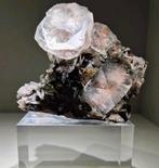 Pseudo-kubische Apofyliet en Stilbiet op
Hematiet matrix, Verzamelen, Mineralen en Fossielen, Ophalen of Verzenden, Mineraal
