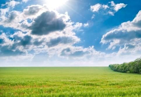 GEZOCHT: (wei)land Eigen Beheer, Dieren en Toebehoren, Stalling en Weidegang