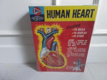 Vintage bouwdoos : Pyro : Human heart ( nieuw in seal ) beschikbaar voor biedingen