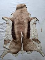 Antilope huid, Verzamelen, Dierenverzamelingen, Ophalen of Verzenden, Zo goed als nieuw, Beeldje of Figuurtje