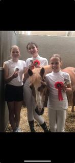Verzorg paard/pony gezocht, Ophalen of Verzenden