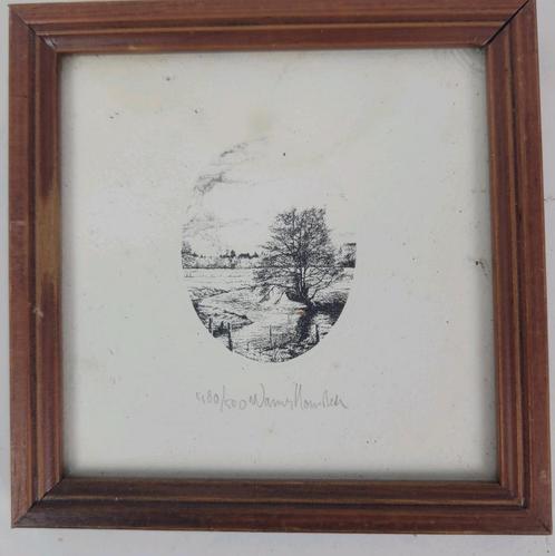 Warner Hemstede ets wilgenboom in polder, Antiek en Kunst, Kunst | Etsen en Gravures, Ophalen of Verzenden