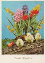 Vrolijk Paasfeest 1969, Verzenden, 1960 tot 1980, Gelopen, Feest(dag)