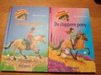 2 boeken uit de serie Manege de Zonnehoeve, Ophalen of Verzenden, Zo goed als nieuw, Fictie algemeen