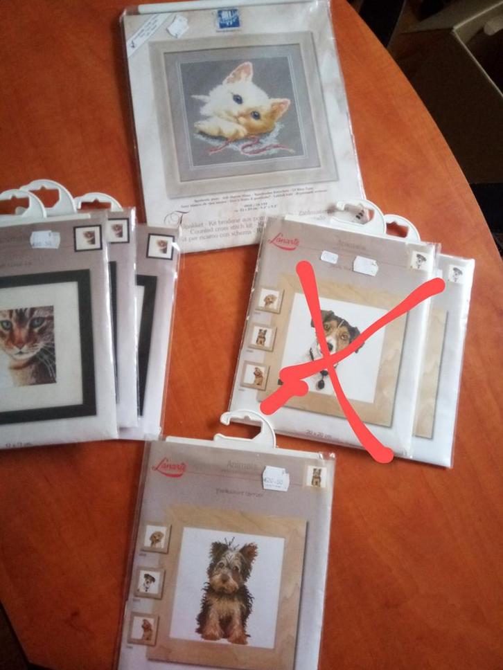 Borduurpaketten met Dmc borduurzijde/borduurgaren 50%af, Hobby en Vrije tijd, Borduren en Borduurmachines, Nieuw, Borduurgaren of Zijde