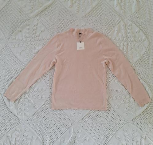 Purdey roze trui XL, Kleding | Dames, Truien en Vesten, Nieuw, Maat 46/48 (XL) of groter, Roze, Verzenden