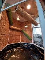 Terraruim Compleet Groot, Dieren en Toebehoren, Reptielen en Amfibieën | Toebehoren, Ophalen, Zo goed als nieuw, Terrarium of Paludarium