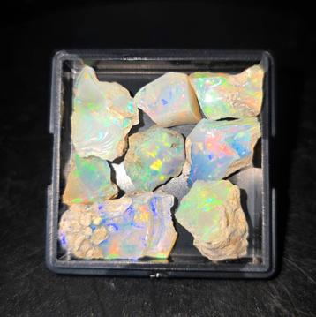 Lot #2 Ethiopisch Opaal Ruw - Prachtige Kleuren! beschikbaar voor biedingen