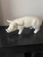 Mooi gemodelleerd Varken, Ophalen of Verzenden, Zo goed als nieuw, Dier