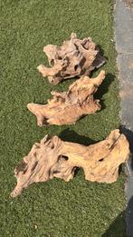 Te koop kienhout, Dieren en Toebehoren, Vissen | Aquaria en Toebehoren, Ophalen, Zo goed als nieuw, Plant(en), Steen of Hout