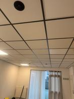 Gratis afhalen - systeemplafondplaten, Huis en Inrichting, Ophalen of Verzenden, Gebruikt