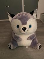 Grote Husky knuffel, Ophalen, Zo goed als nieuw, Hond