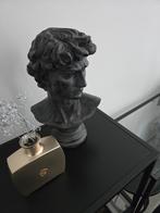 David statue hoofd, zwaar kunststof, donkergrijs, Ophalen, Nieuw