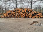 stamhout - haardhout op stam, 6 m³ of meer, Ophalen of Verzenden, Overige houtsoorten, Stammen