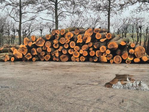 stamhout - haardhout op stam, Tuin en Terras, Haardhout, Stammen, Overige houtsoorten, 6 m³ of meer, Ophalen of Verzenden