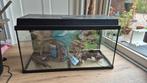 Prachtig aquarium Juwel 80 cm, Dieren en Toebehoren, Vissen | Aquaria en Toebehoren, Ophalen, Gebruikt, Gevuld zoetwateraquarium