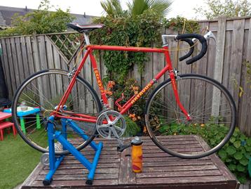 Batavus Champion vintage /Retro beschikbaar voor biedingen