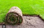 Gezocht 35 m2 graszoden, Tuin en Terras, Gras en Kunstgras, Ophalen, Nieuw