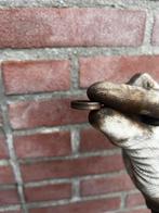 Gilera runner ring achter koppeling 125/180cc, Ophalen of Verzenden