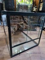 Terrarium 45,5x36,5x33,5 met achterwand, Dieren en Toebehoren, Reptielen en Amfibieën | Toebehoren, Ophalen, Gebruikt