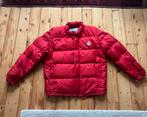 Originele Moncler puffer jas., Kleding | Heren, Jassen | Winter, Ophalen of Verzenden