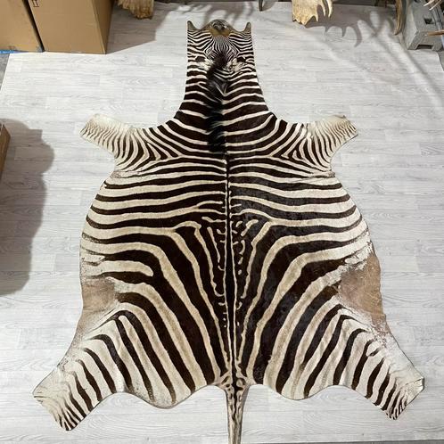 Afrikaanse zebrahuid 325x190cm, Huis en Inrichting, Stoffering | Tapijten en Kleden, Gebruikt, 150 tot 200 cm, 200 cm of meer
