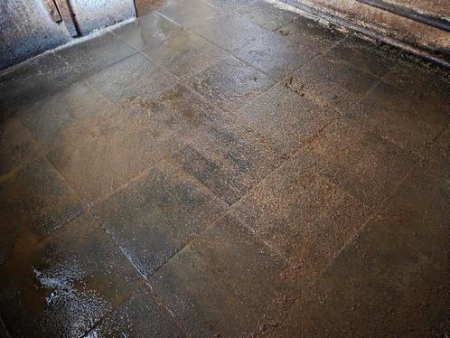 Rubber matten, Dieren en Toebehoren, Stalling en Weidegang