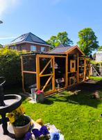 Kippenhok groot, Dieren en Toebehoren, Vrouwelijk, Kip