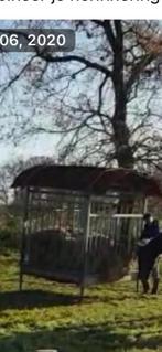 Gezocht: hooiruif dezelfde versie, Dieren en Toebehoren