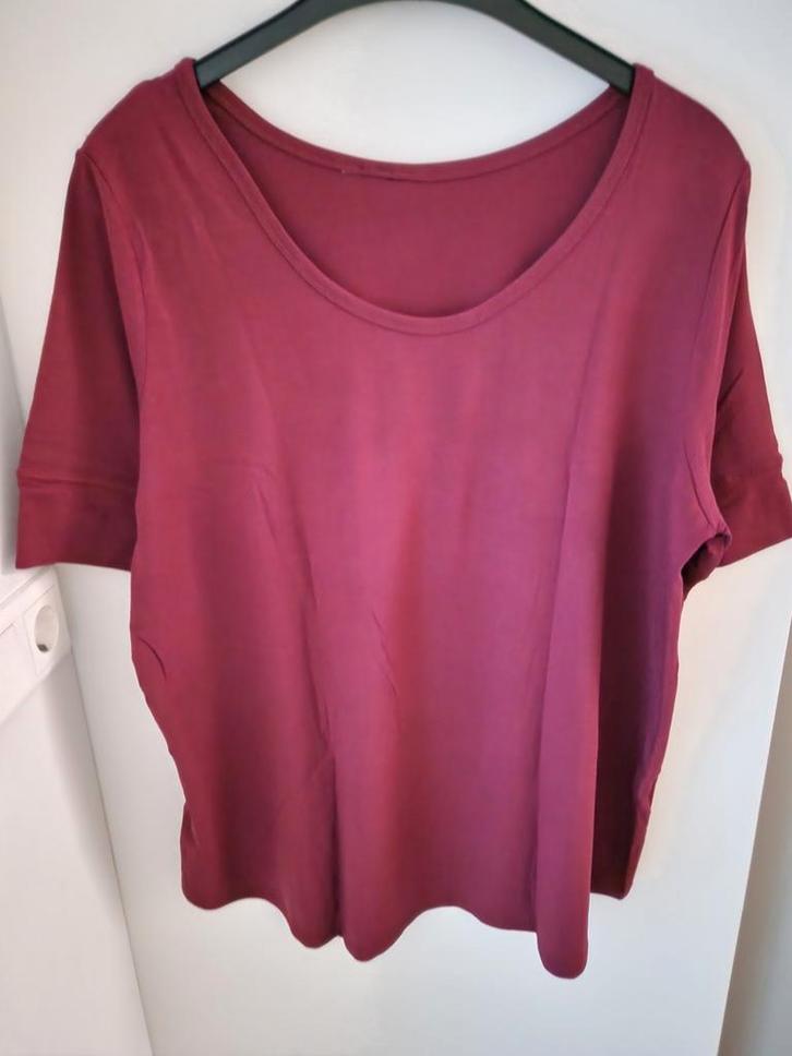 bordeauxrood top/ shirt in mt 48, Kleding | Dames, Tops, Zo goed als nieuw, Blauw, Korte mouw, Ophalen of Verzenden