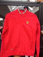 Ferrari sweater met rits, Ophalen of Verzenden, Zo goed als nieuw, Jongen, Trui of Vest