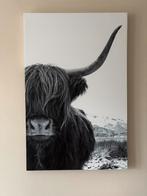 Schotse hooglander, Huis en Inrichting, Ophalen, Zo goed als nieuw, 75 tot 100 cm, Foto of Poster