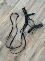 Hoofdstel plus teugels, Dieren en Toebehoren, Ophalen of Verzenden, Zo goed als nieuw, Dressuur