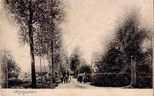 Wyngaarden, 21-02-1902 dorpsgezicht, Verzamelen, Ansichtkaarten | Nederland, Gelopen, Zuid-Holland, Voor 1920, Verzenden