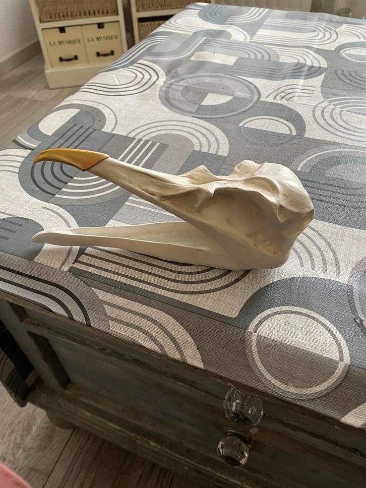 Decoratieve vogel schedel juwelenhouder, Verzamelen, Mineralen en Fossielen, Overige typen, Ophalen of Verzenden