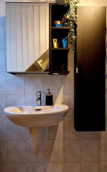 Wasbak met sifonbak en kraan beschikbaar voor biedingen