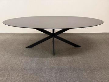 Ovale eettafel HPL toffe print 240x120 beschikbaar voor biedingen