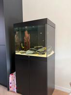 Lido 200, Ophalen, Zo goed als nieuw, Gevuld zoetwateraquarium