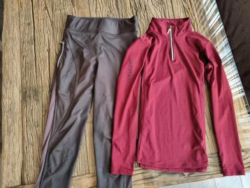 Horse Gloss training Set beschikbaar voor biedingen